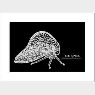 Treehopper with Common and Latin Names - insect design Posters and Art